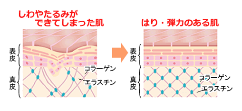 コラーゲンの生成と保持には”ビタミンC”